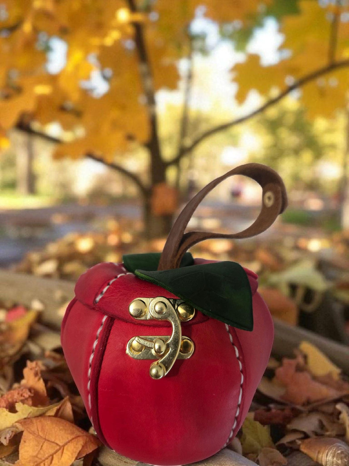 Leather Apple Bag: Handmade Pouch.